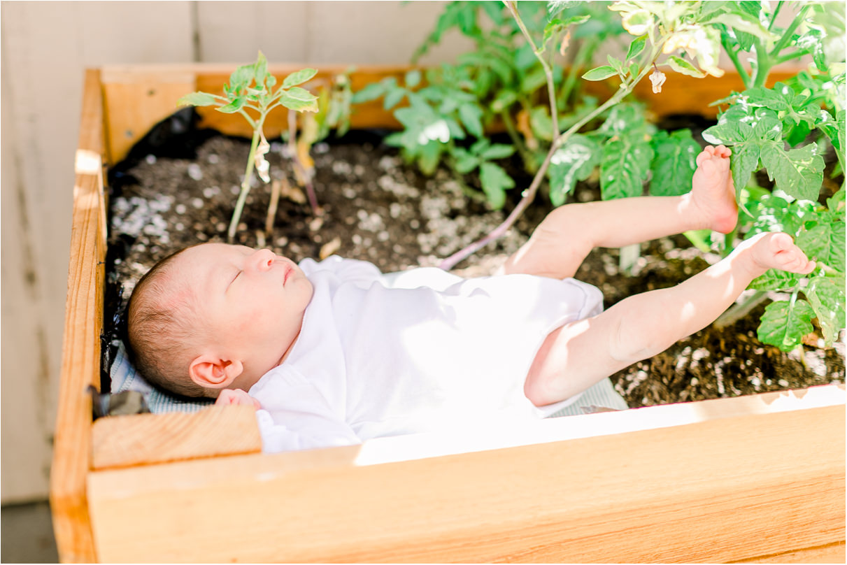 Sleeping baby in a vegetable planter in the sun