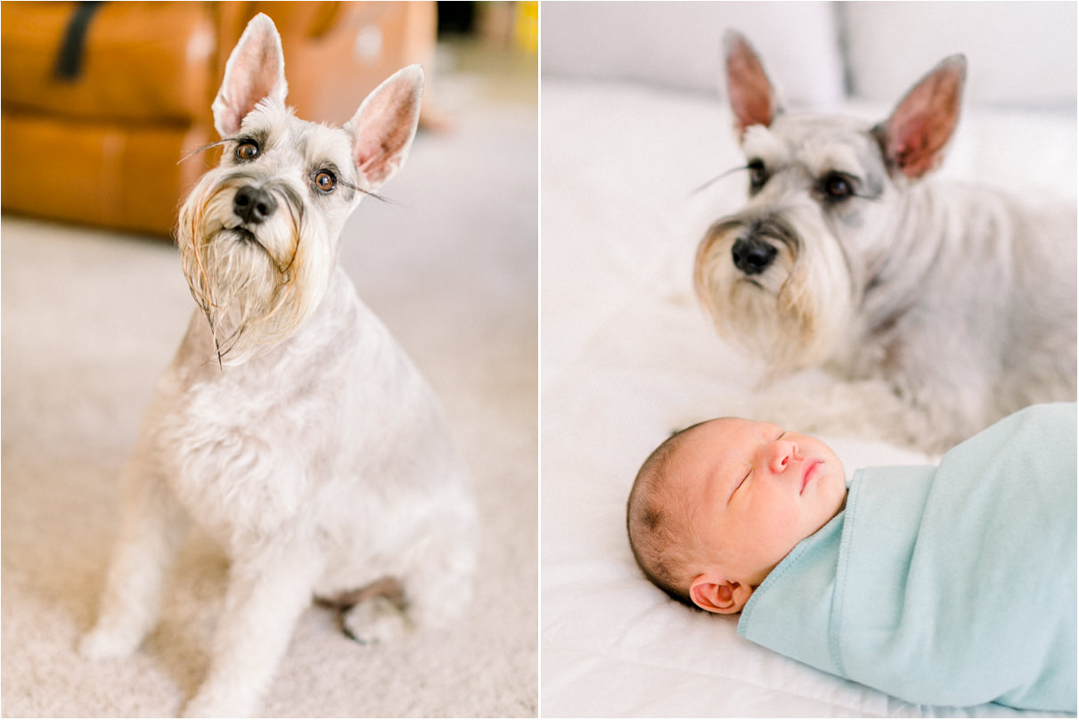 Baby boy sleeping next the dog on bed