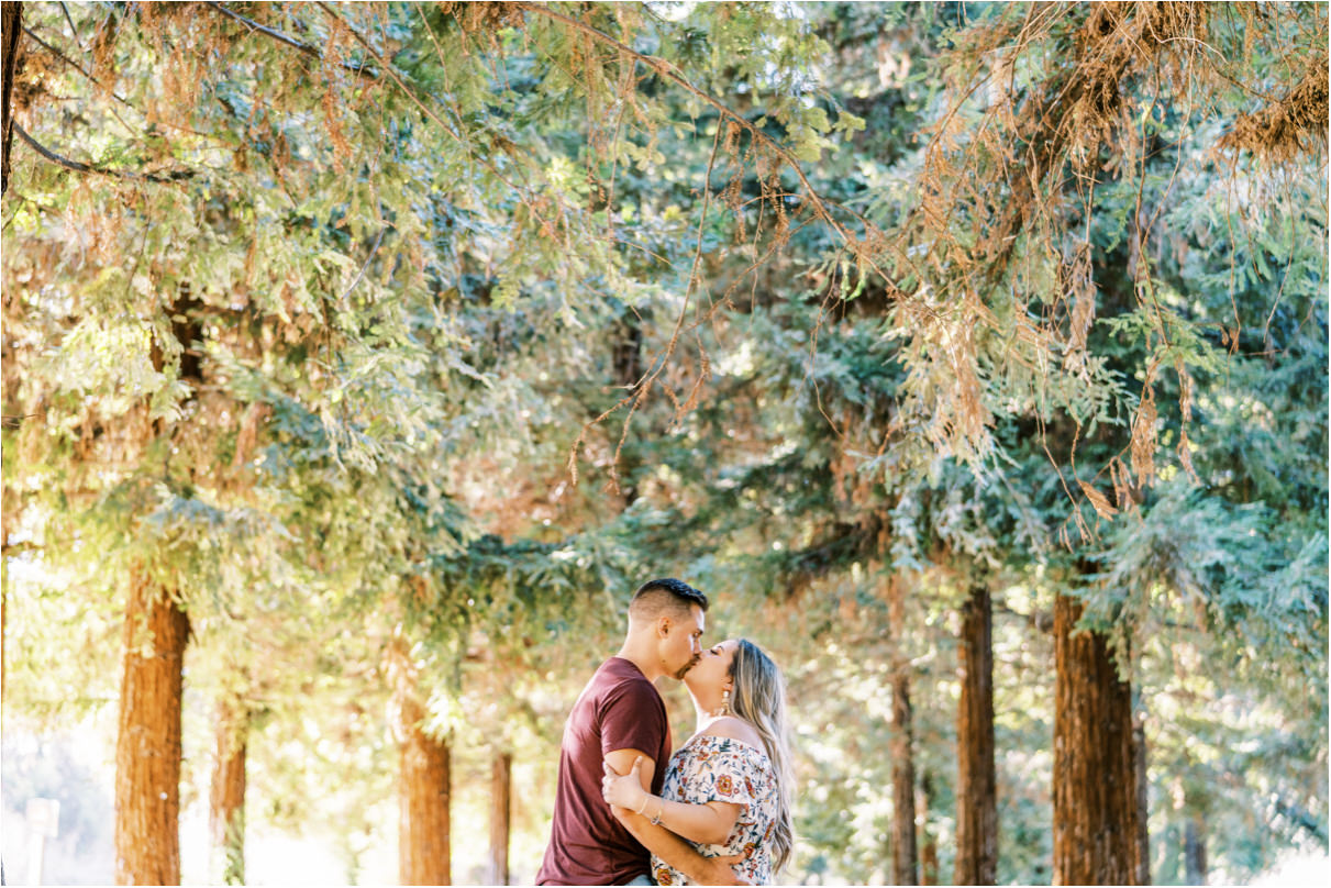Couple kissing surrounded by tall redwood trees
