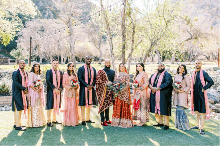 Pakistani wedding party
