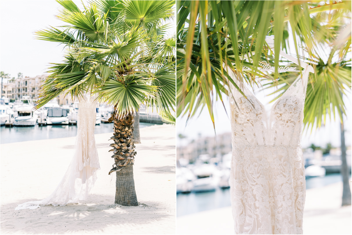Wedding dress hanging from palm tree on beach