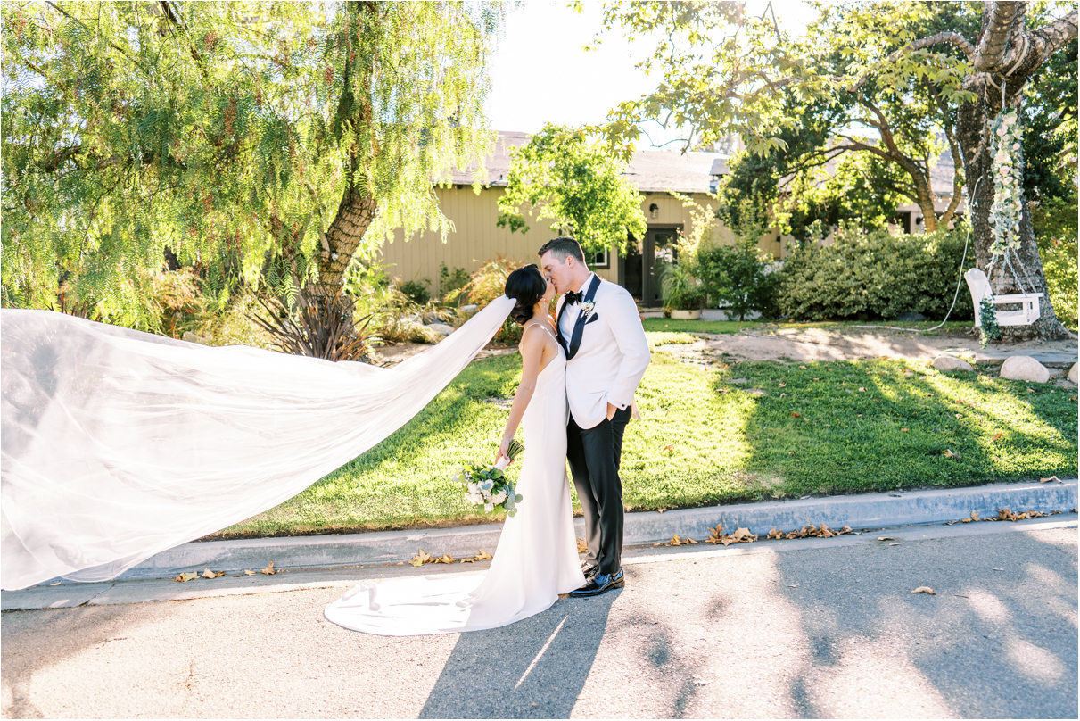 Bride and groom kissing with veil in the wind