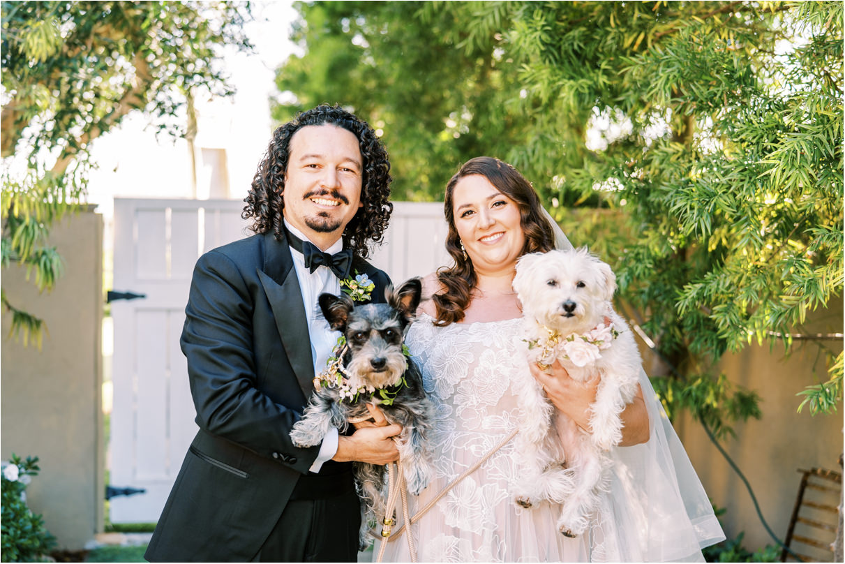 bride and groom holding white and black dogs
