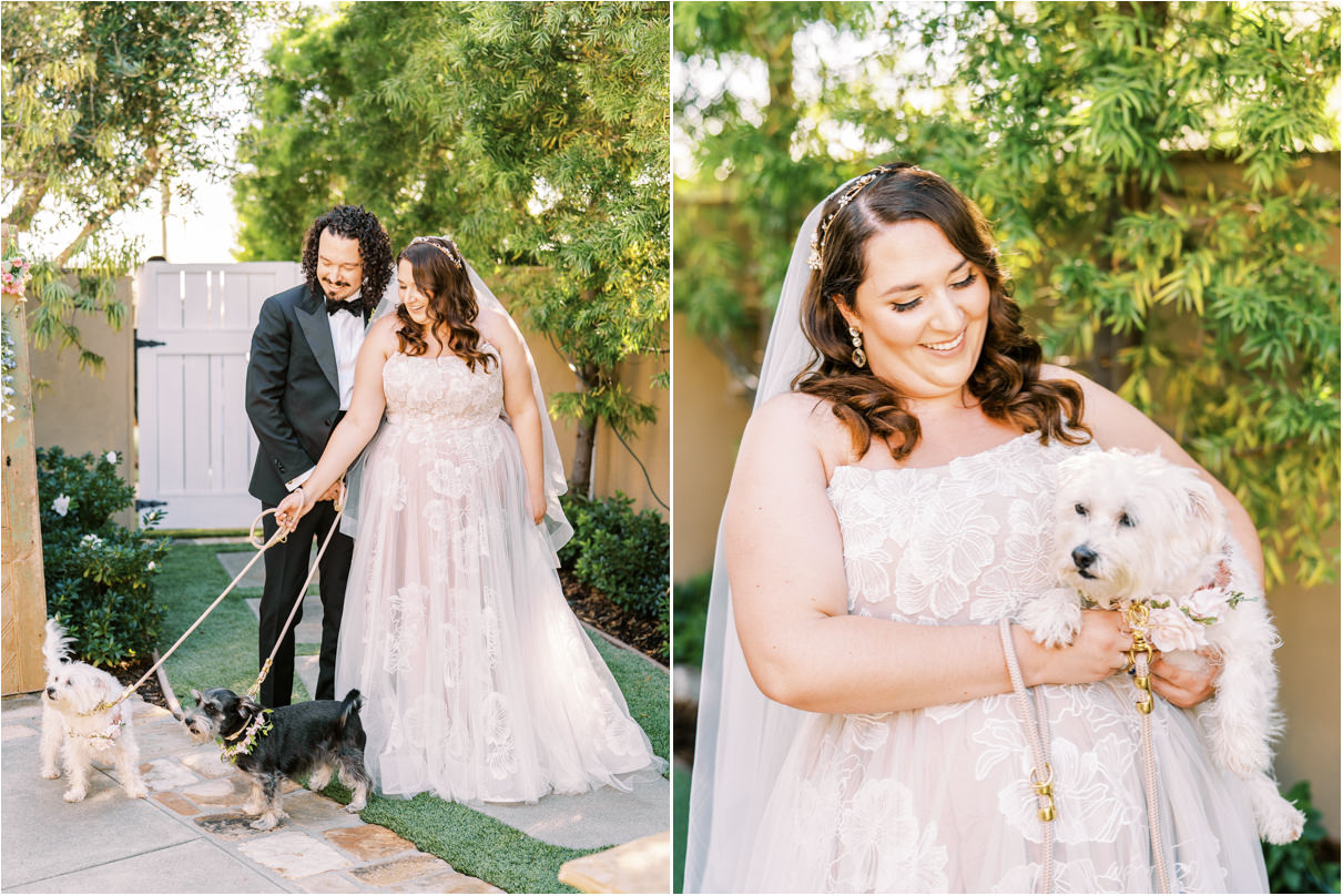 bride and groom with their two dogs on wedding day