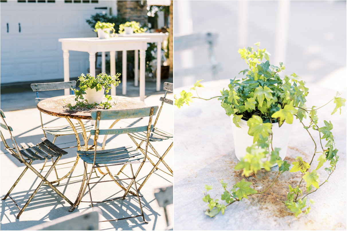 Patio table with ivy houseplant centerpiece